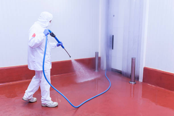 Trusted Pine Mountain Lake, CA Pressure Washing Experts